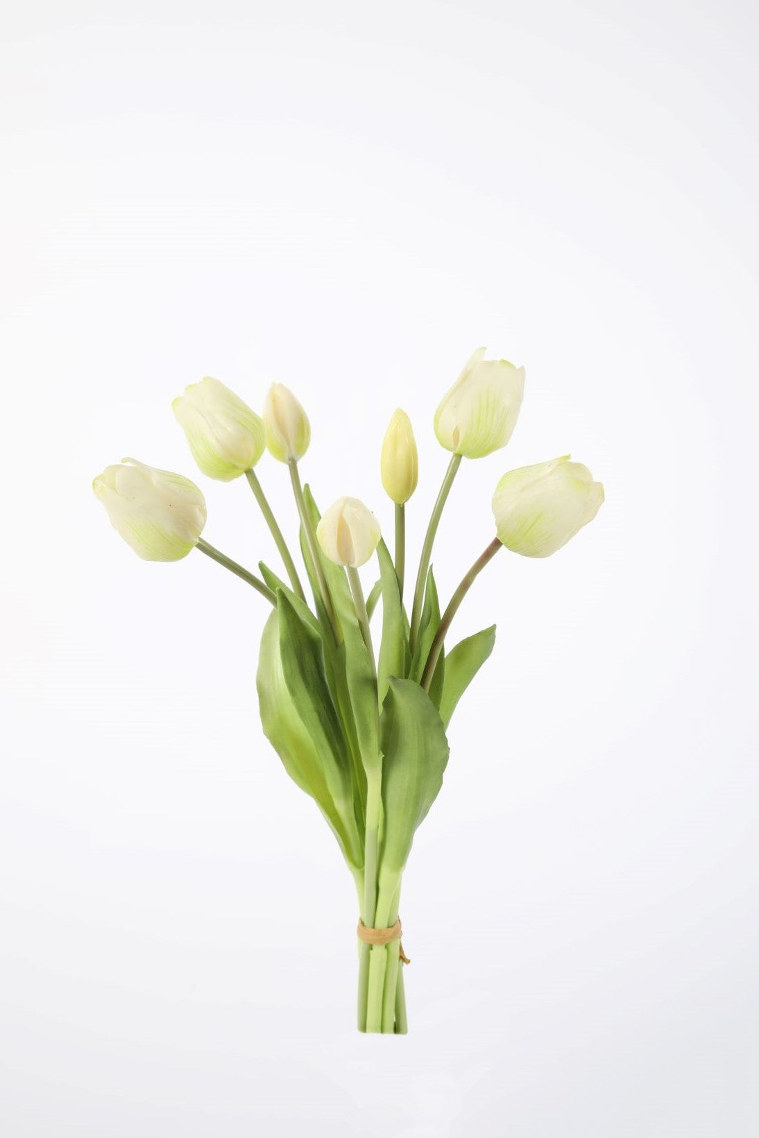 Bosje tulpen (7st) - wit