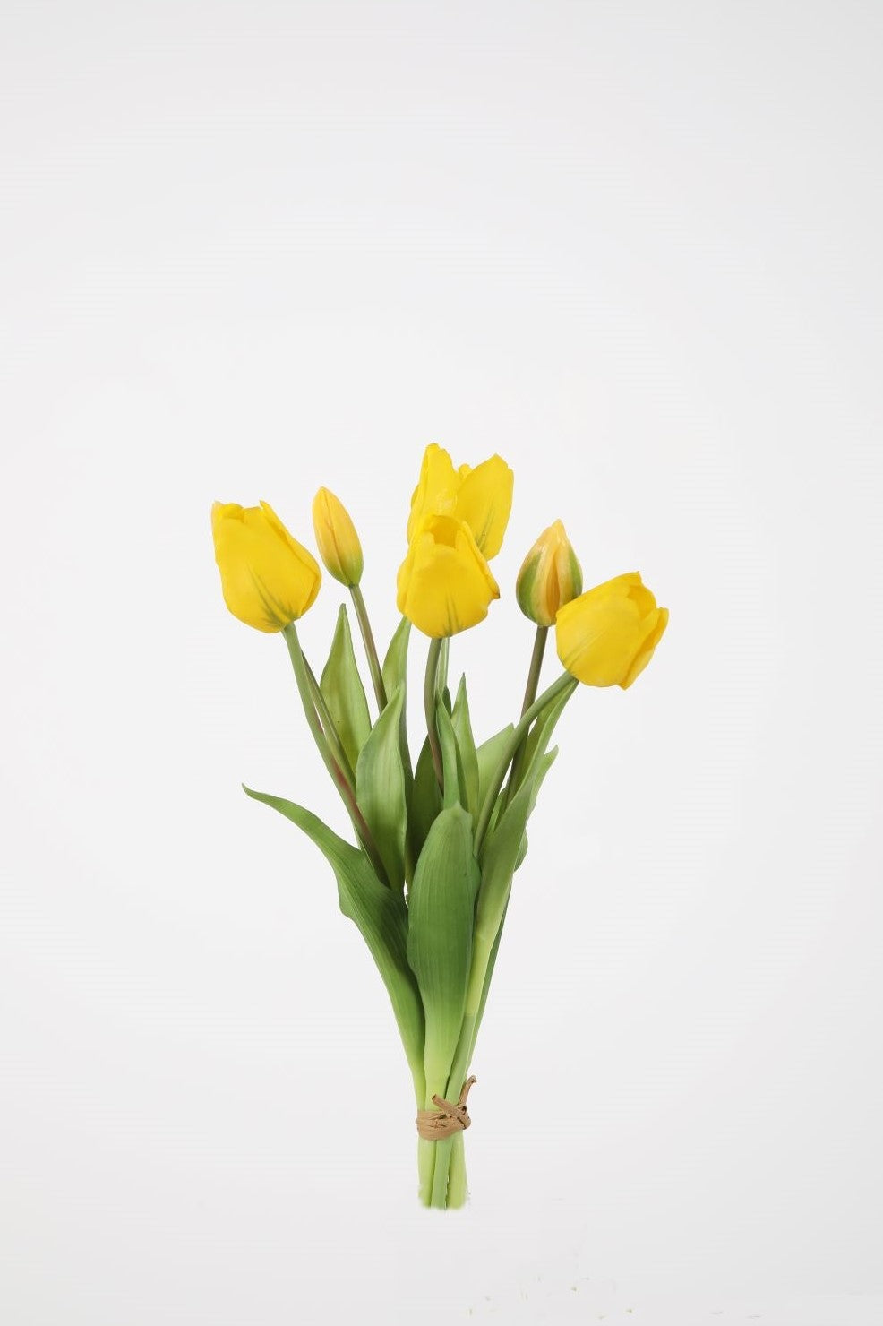 Bosje tulpen (7st) - geel