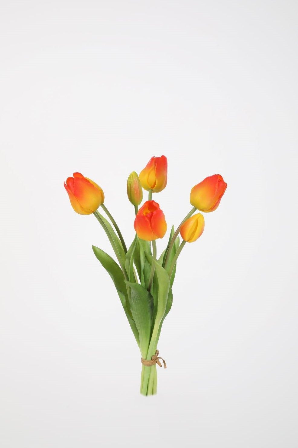 Bosje tulpen (7st) - oranje