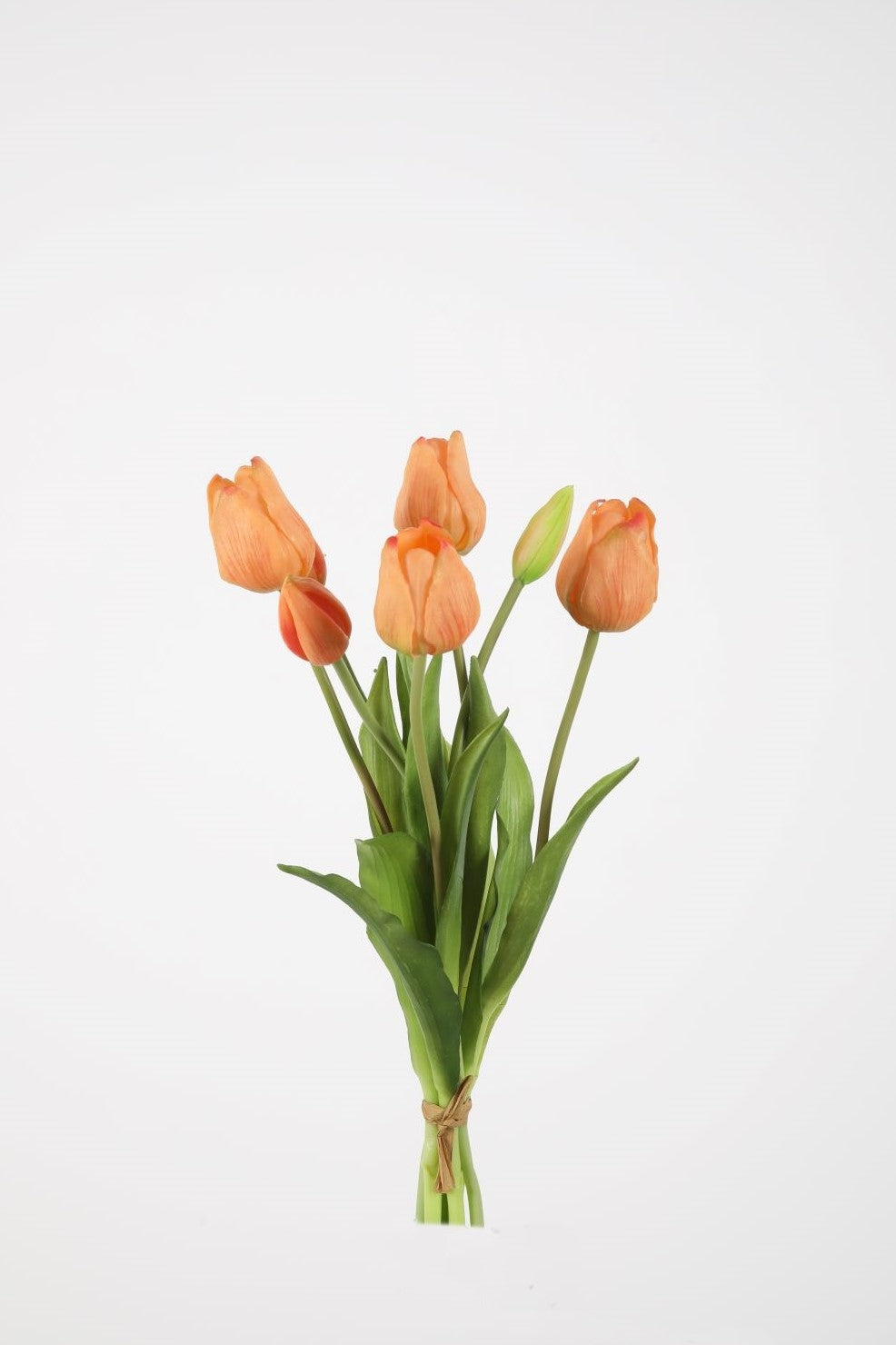 Bosje tulpen (7st) - peach