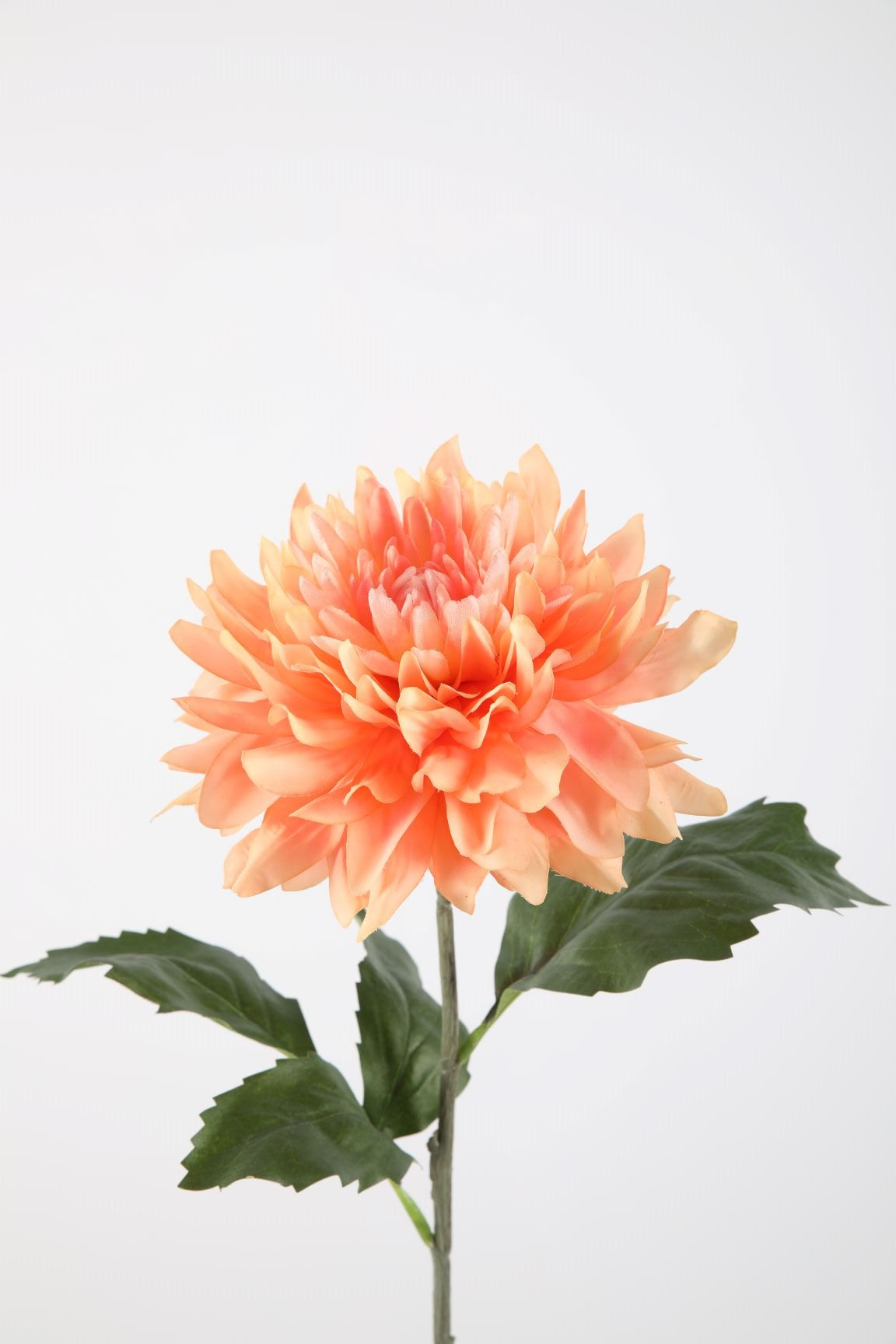 Zijden bloem - Dahlia - peach