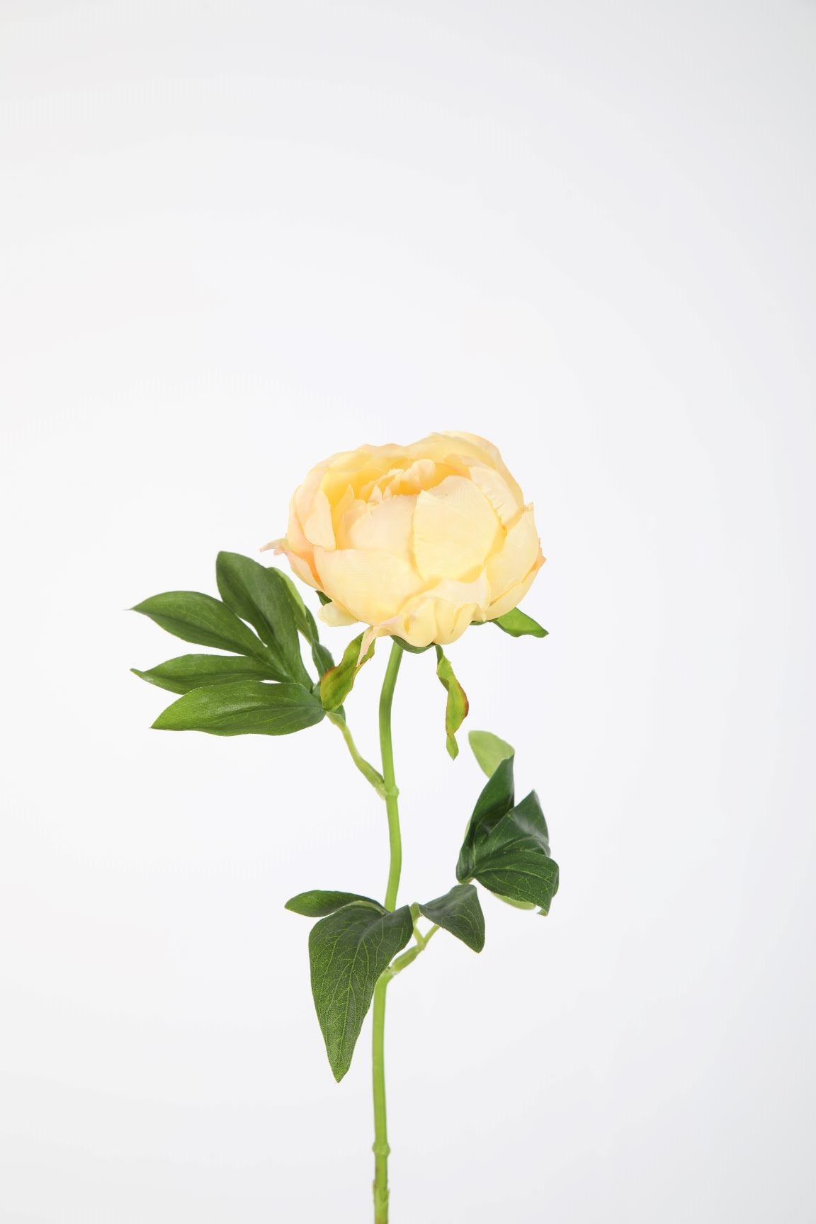 Zijden bloem - Pioen - geel