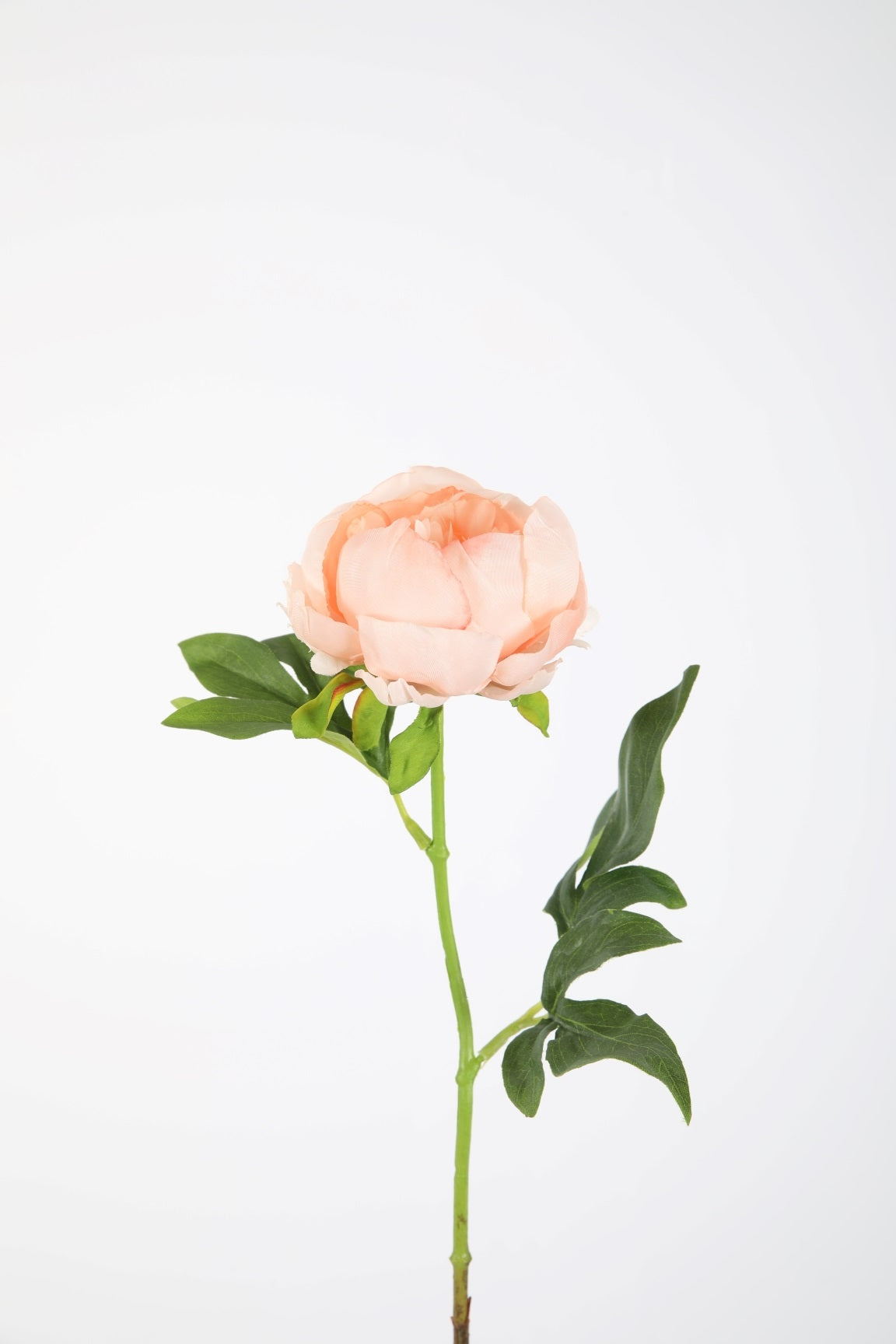 Zijden bloem - Pioen - peach