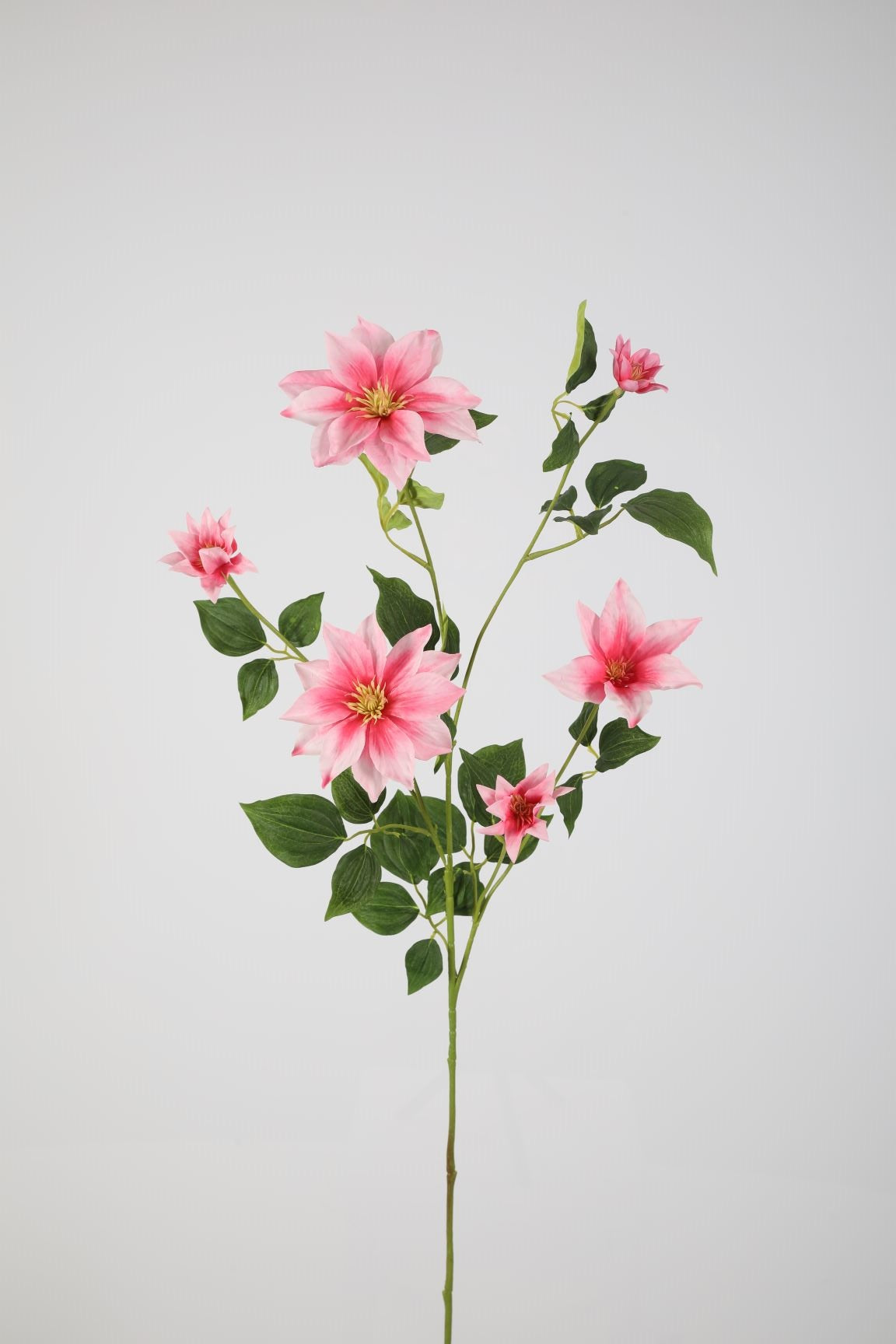 Zijden bloem - Clematis - roze