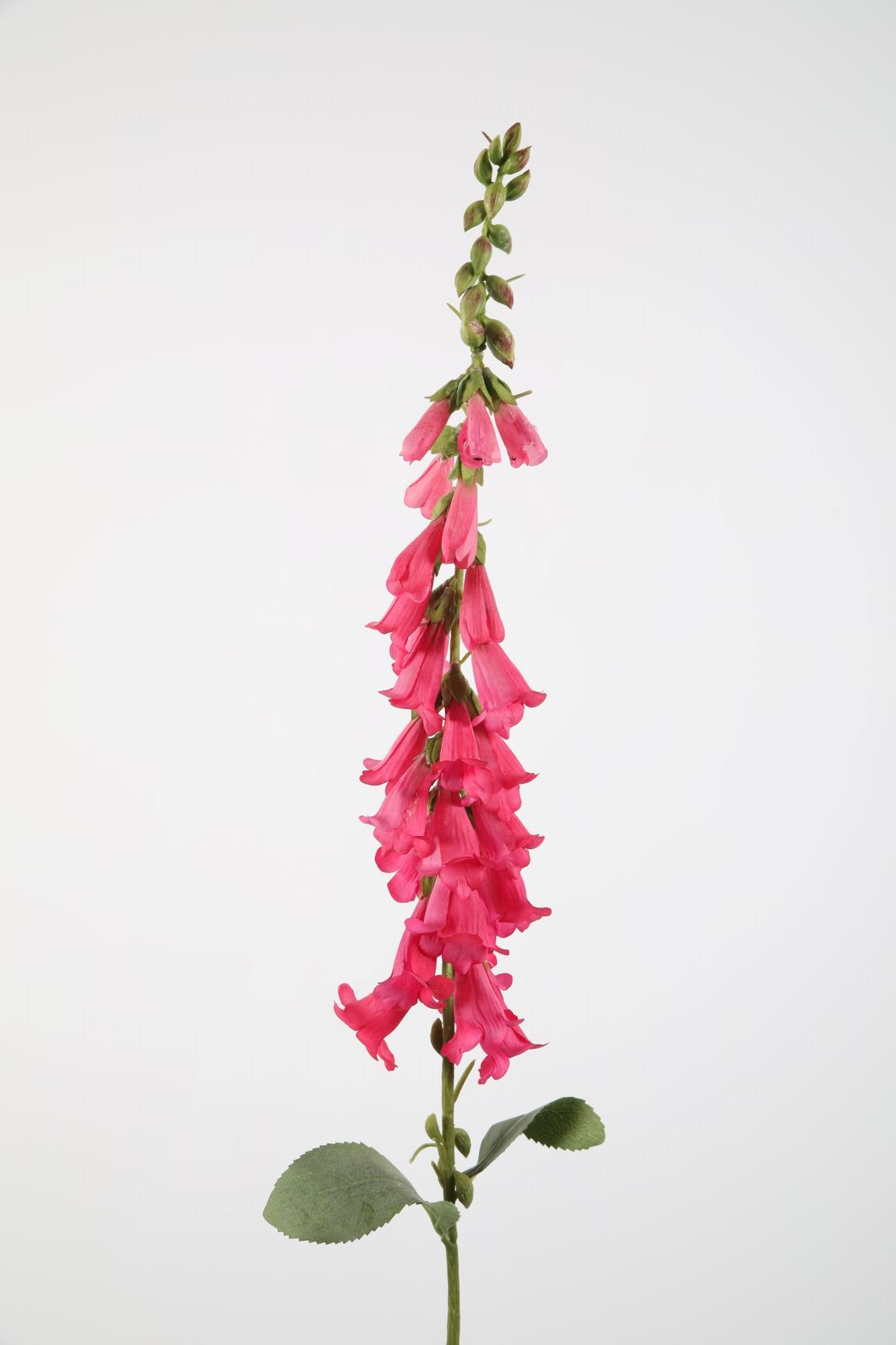 Zijden bloem - Foxglove - fuchsia