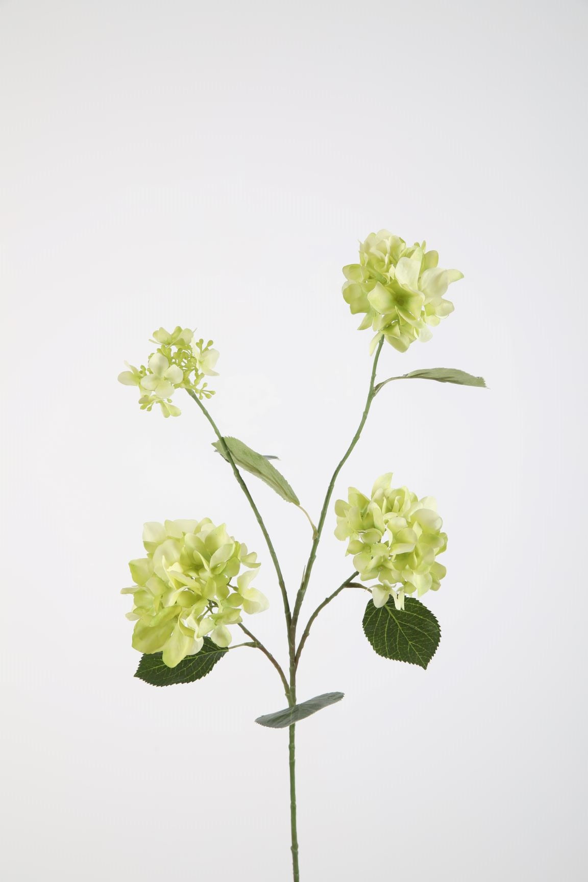 Zijden bloem - Hydrangea - lichtgroen