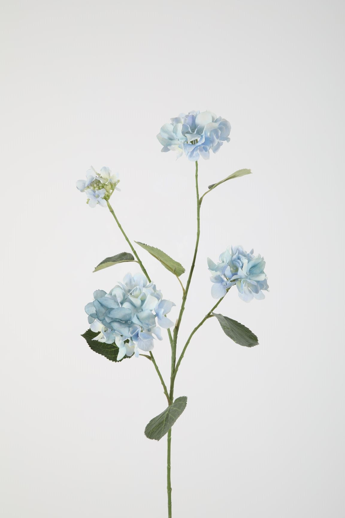 Zijden bloem - Hydrangea - blauw
