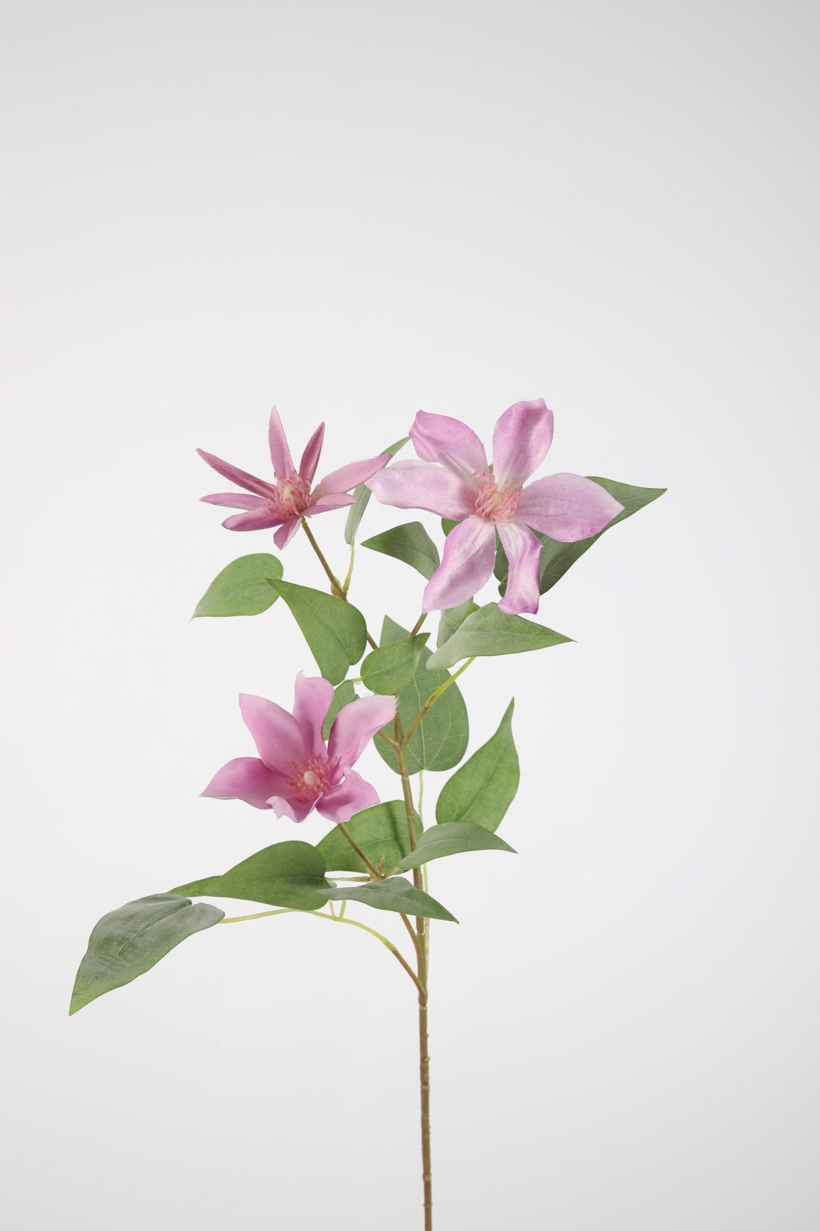 Zijden bloem - Clematis - lichtpaars