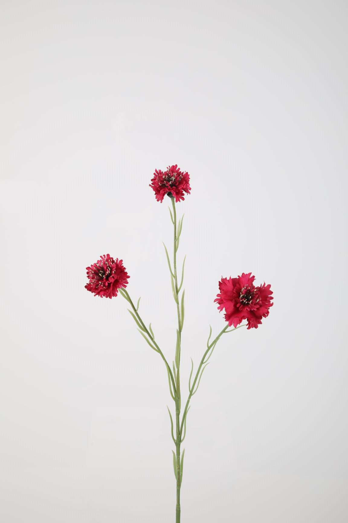 Zijden bloem - Korenbloem - bordeaux