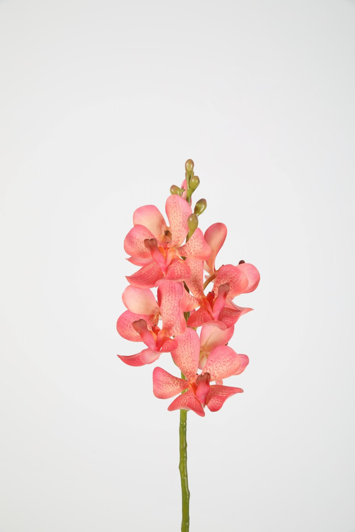 Zijden bloem - Vanda - koraal