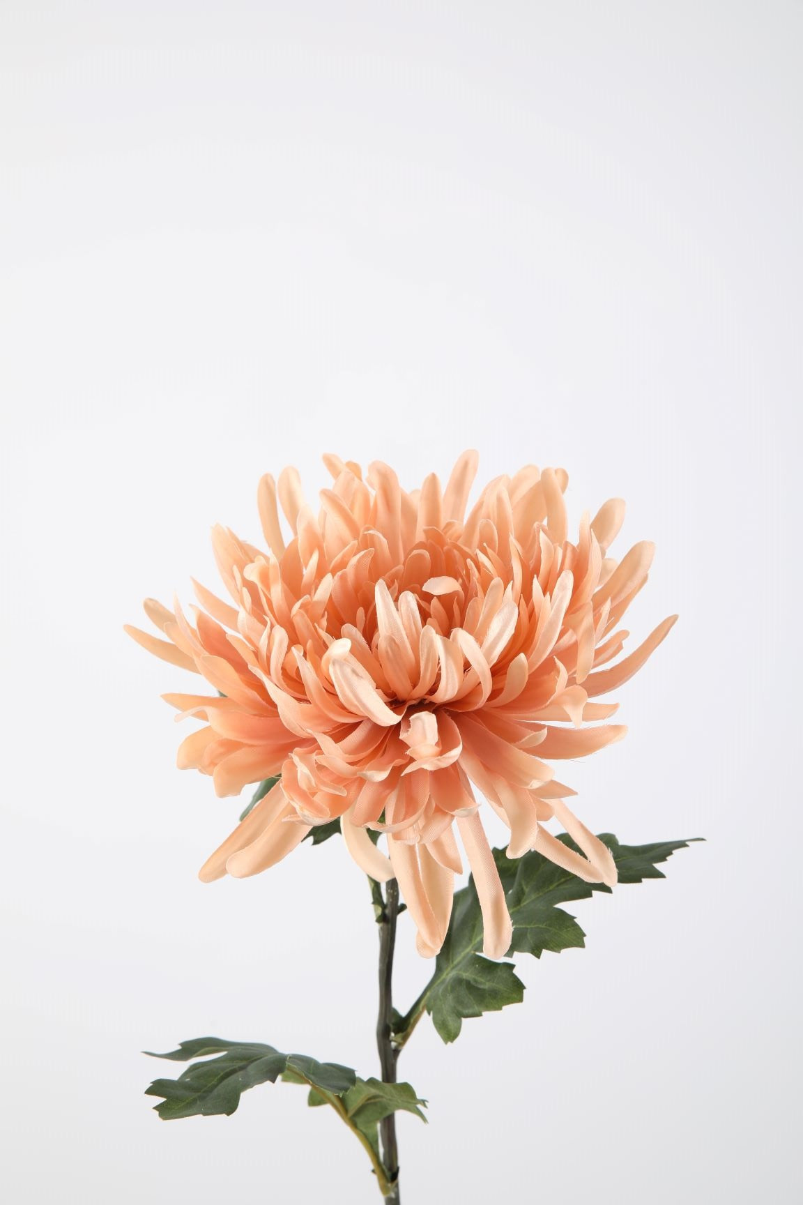 Zijden bloem - Chrysant - licht roze