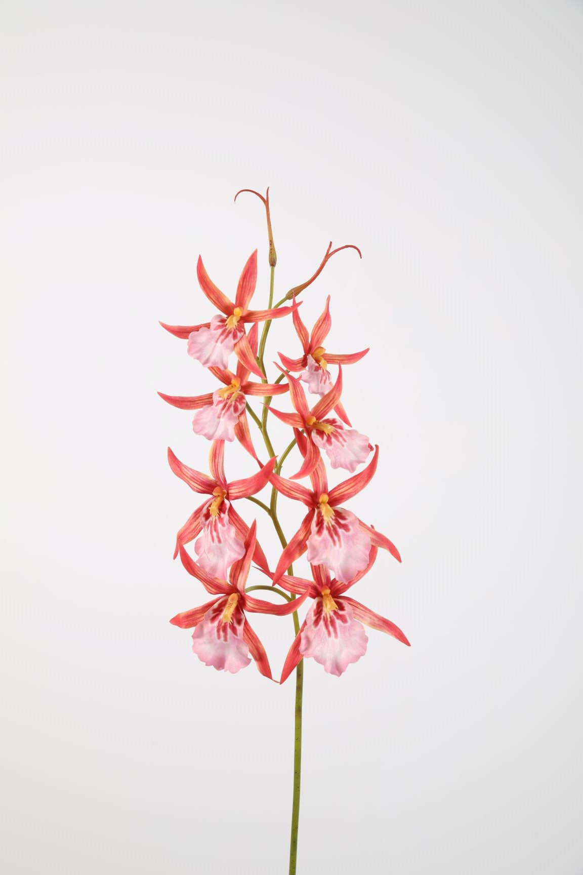 Zijden bloem - Orchid Stem - roze