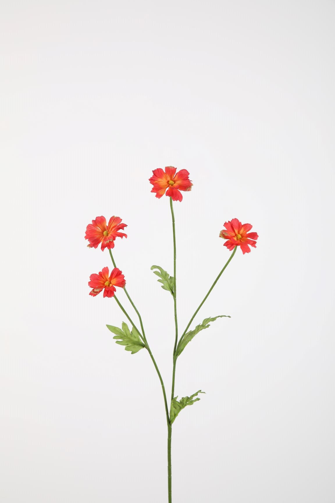 Zijden bloem - Daisy - rood/oranje