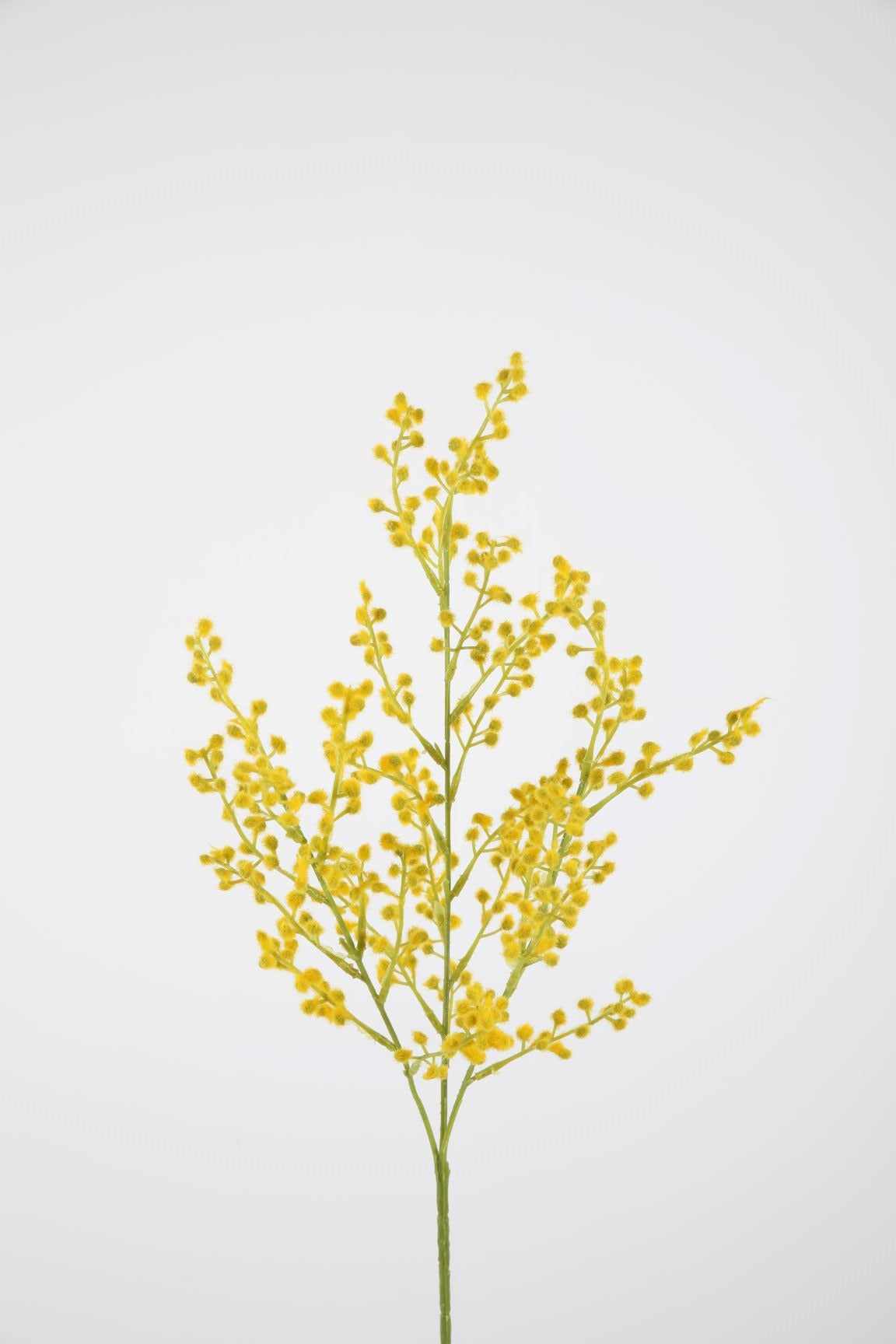 Zijden bloem - Mimosa - geel