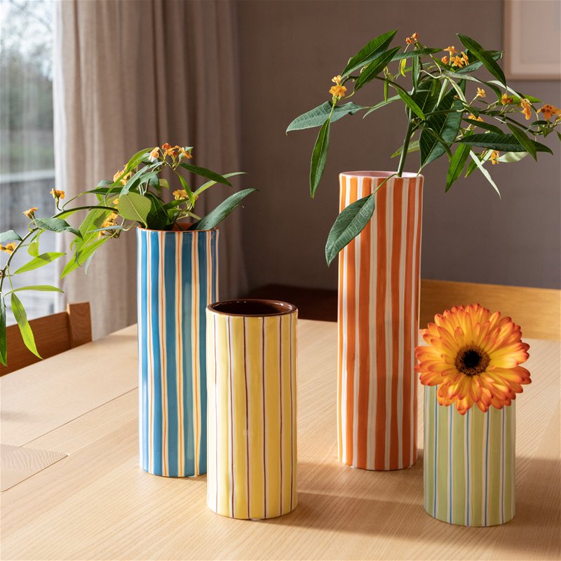 Vaas Ray Blauw