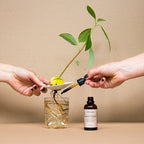 Organic Plant Food - 50ml