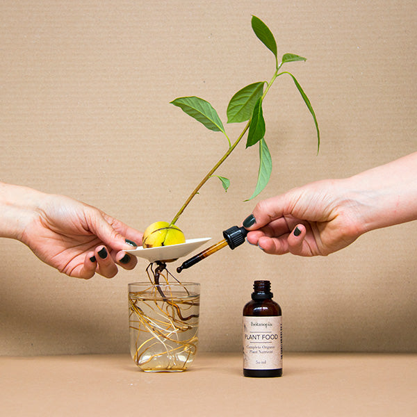 Organic Plant Food - 50ml