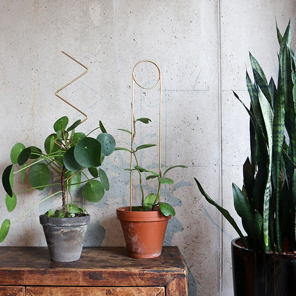 Plantensteun - Zigzag - goud - 70cm
