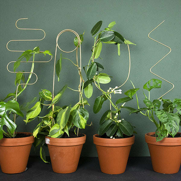 Plantensteun - Zigzag - goud - 70cm