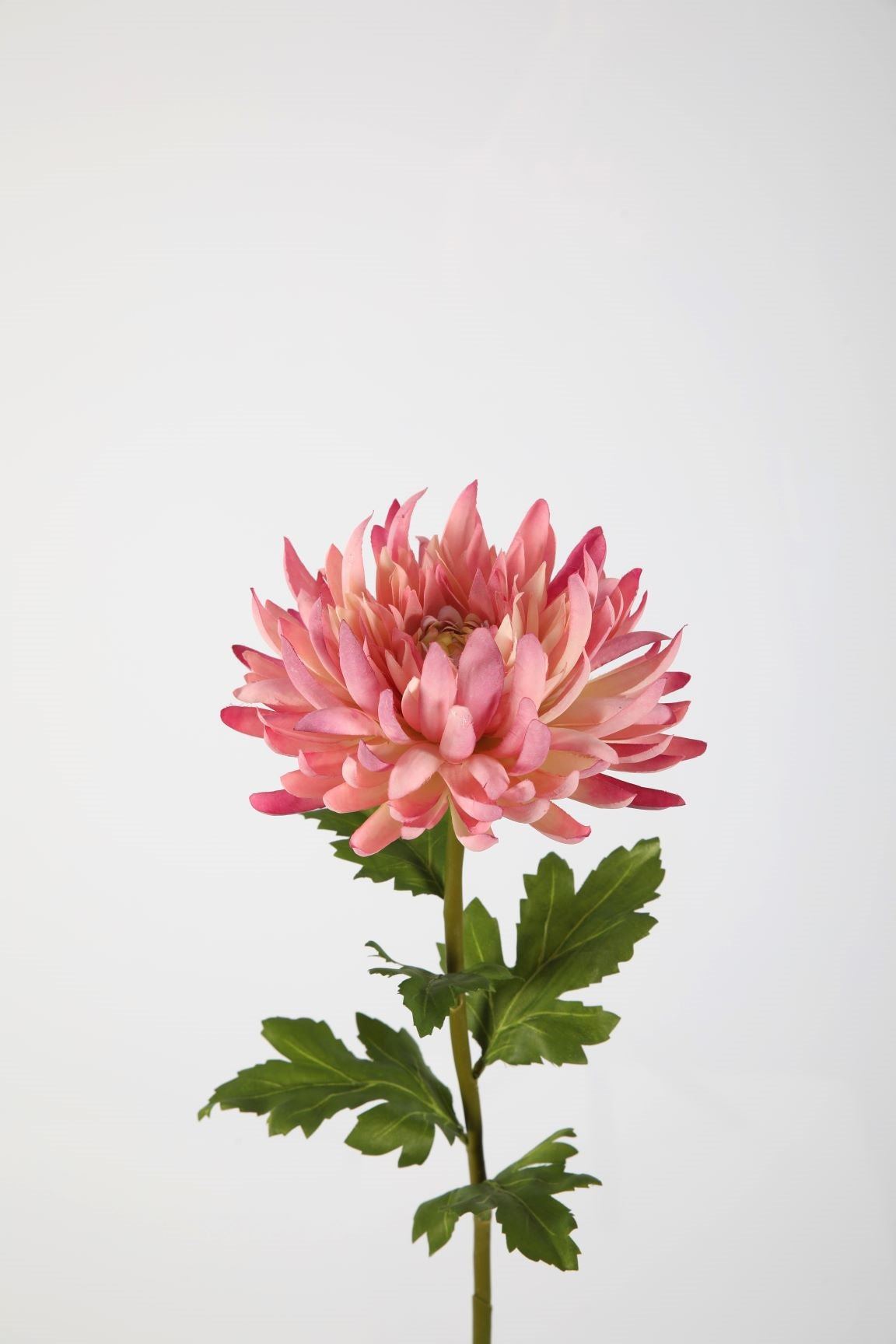 Zijden bloem - Chrysant - roze