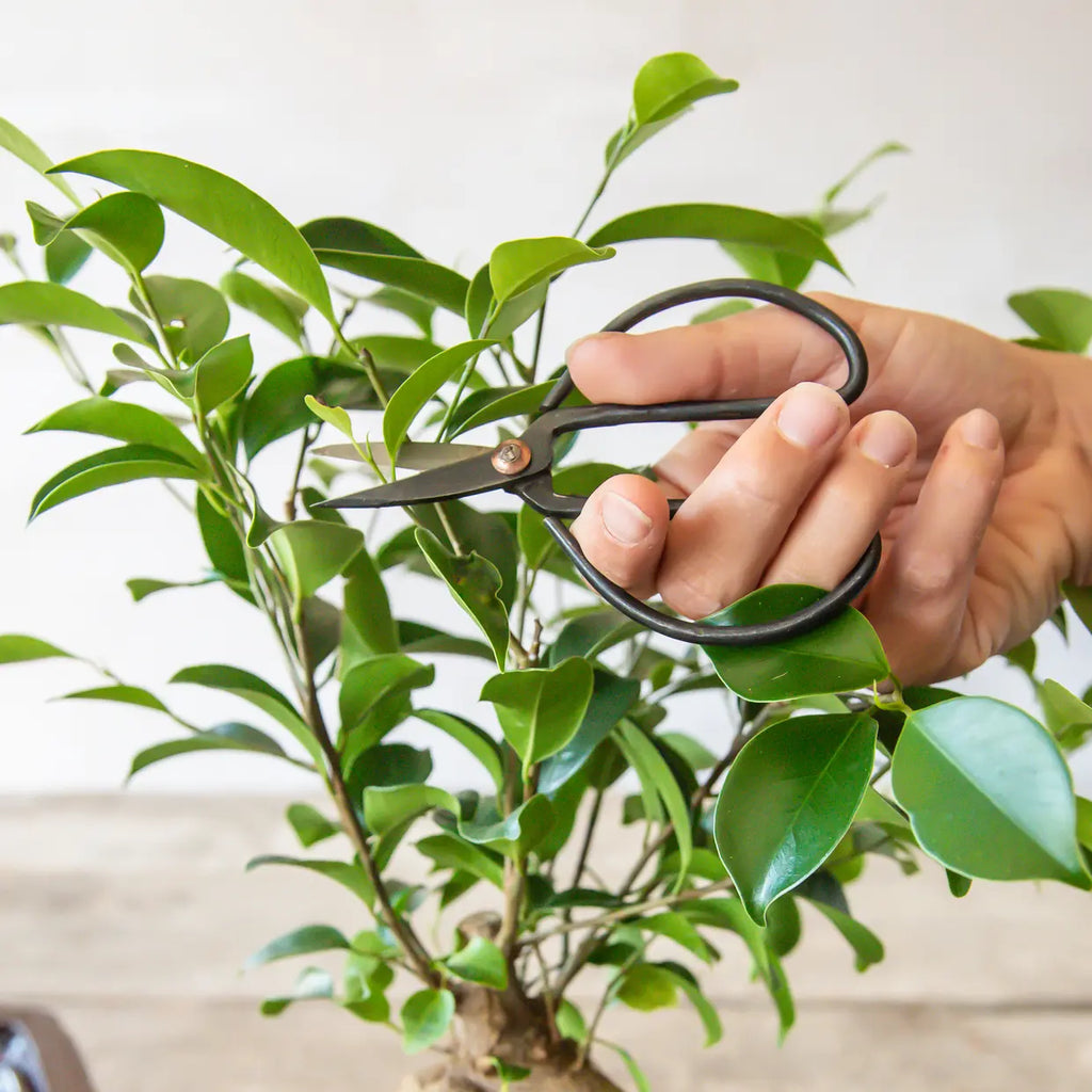 Bonsai snoeischaar S