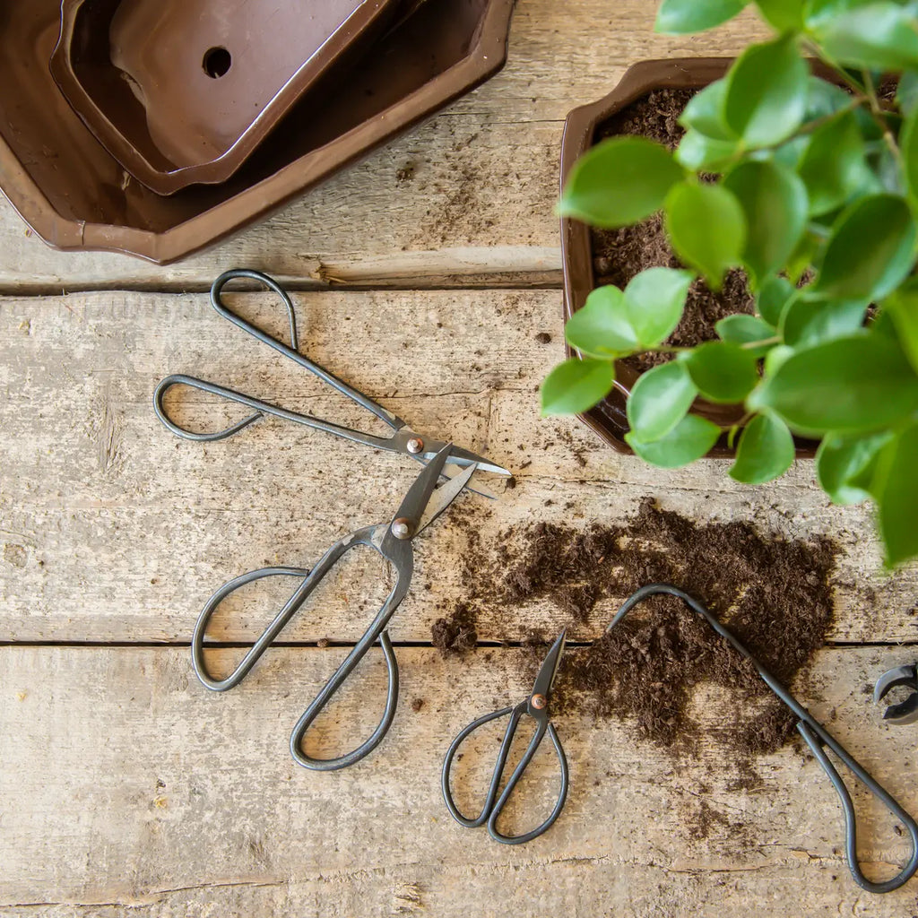 Bonsai snoeischaar L