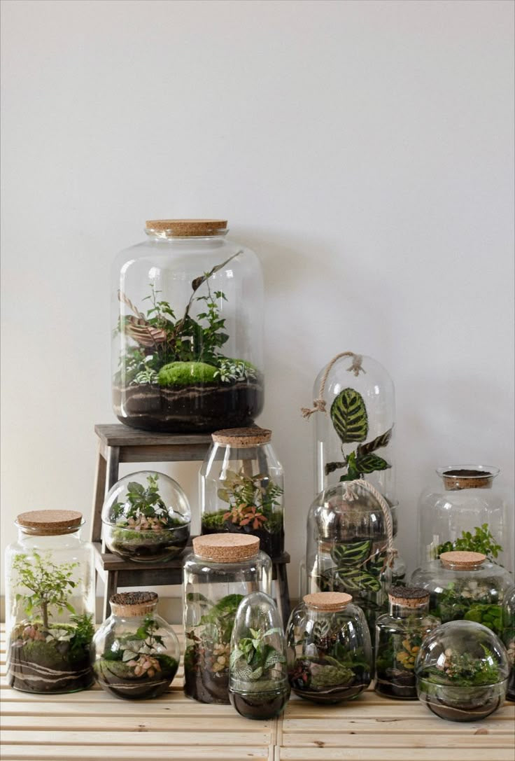 Maak je eigen terrarium