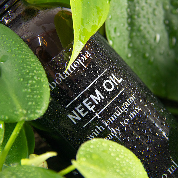 Neem olie - Ready to mix - 100ml