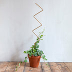 Plantensteun - Zigzag - goud - 70cm