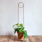 Plantensteun - Pin - goud - 70cm
