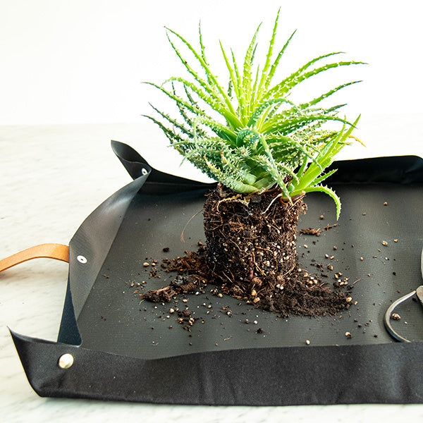 Plantenmat voor Urban Gardening