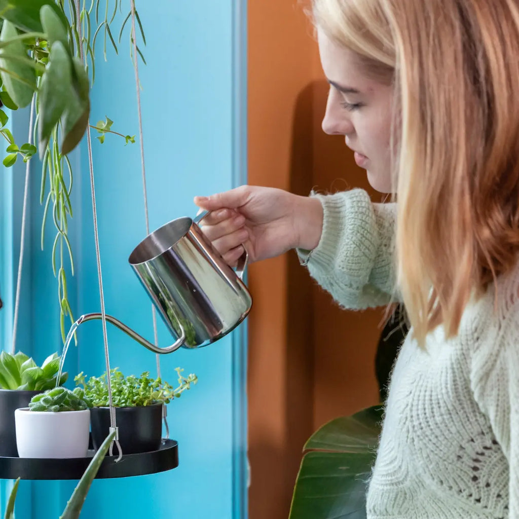Kamerplanten gieter