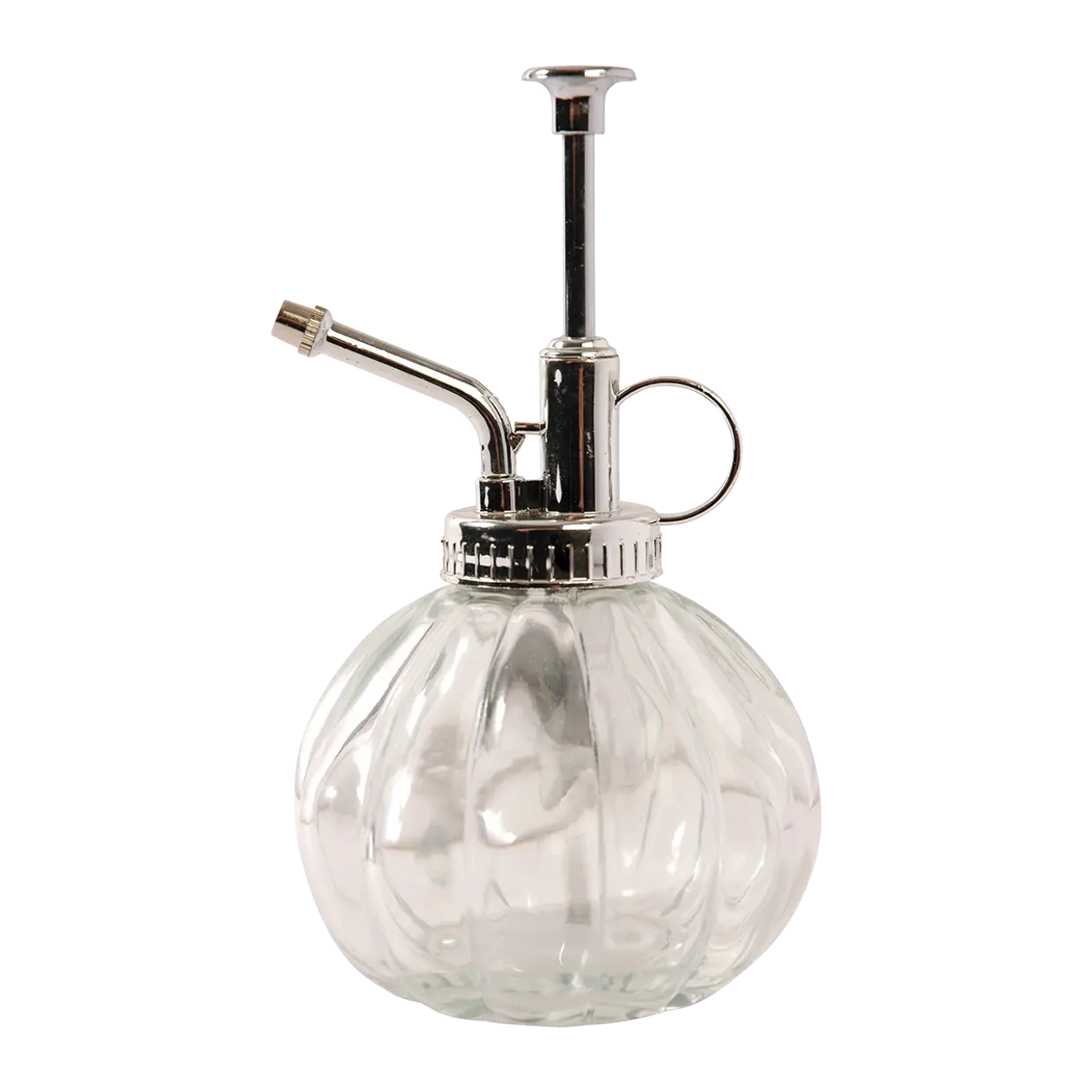 Plantenspuit helder/zilver